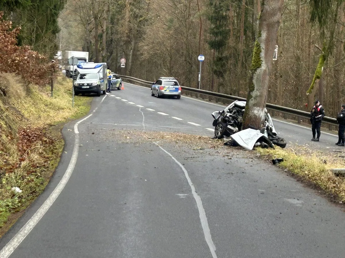 U Šemnice na Karlovarsku zemřel mladý řidič po nárazu auta do stromu. Foto: Se svolením Policie ČR