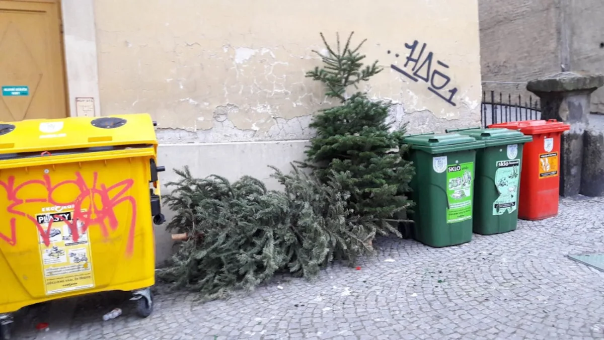 ilustrační foto.
