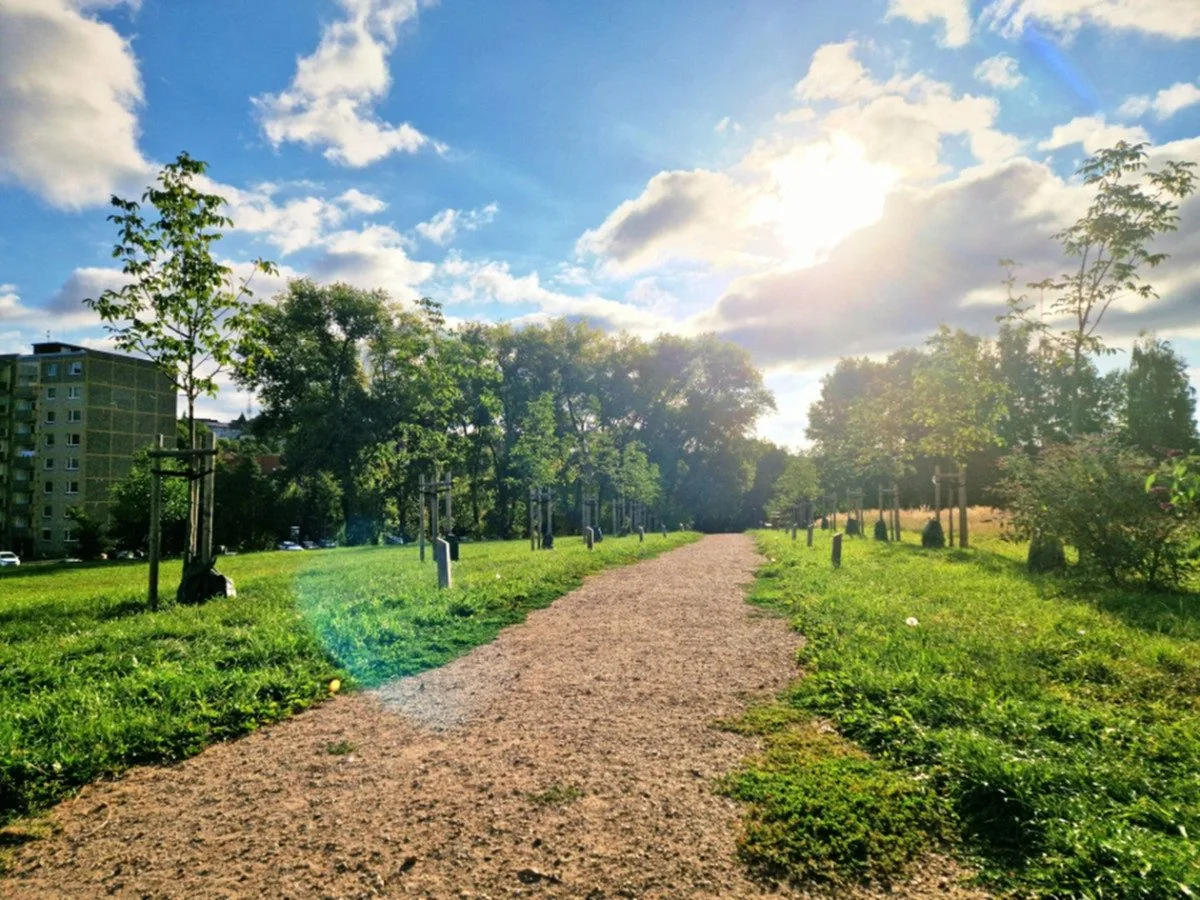 V Karlovarském kraji má titul Alej roku Studentská alej a Stromokruh v Sokolově. Foto: Se svolením Aleje roku