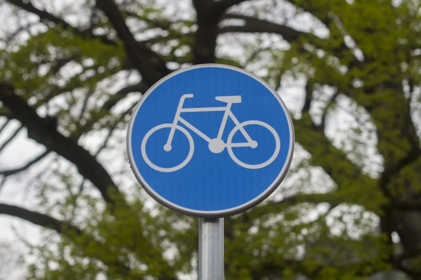 Sokolov rozšiřuje cyklistickou infrastrukturu, staví cyklostezku a cyklopoint