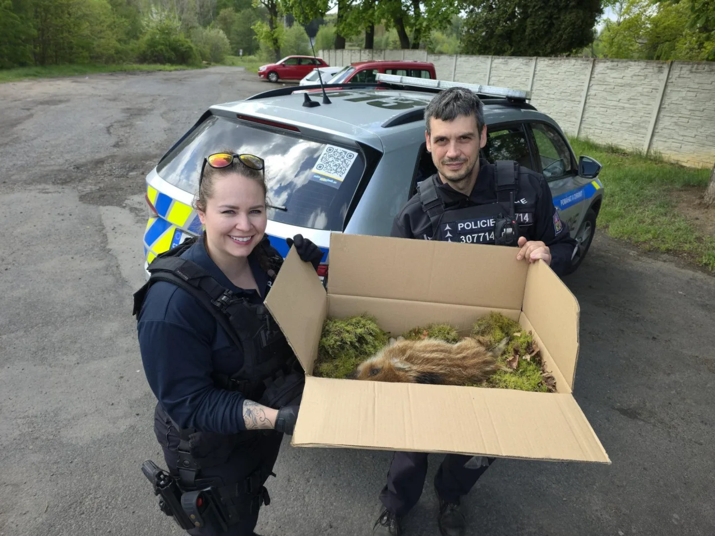 Děti zachránily zraněné sele u cyklostezky, pomohli i policisté.
