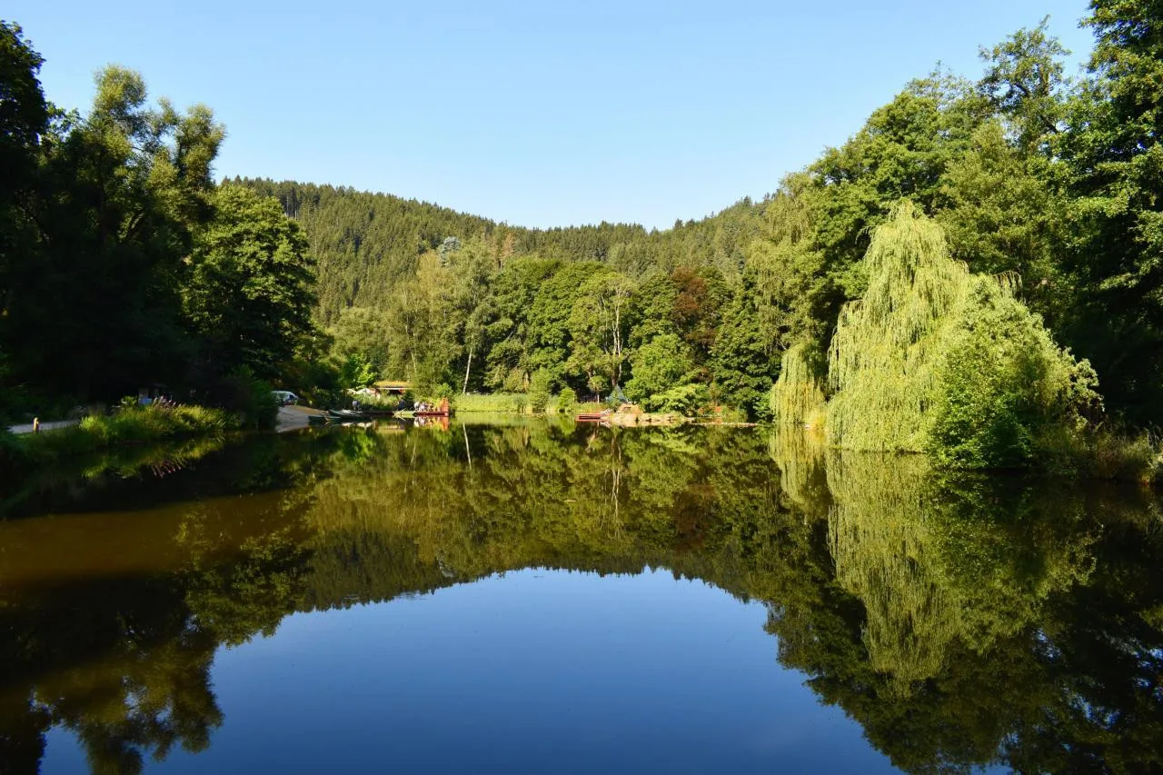 Ilustrační foto. Foto: Bečovská botanická zahrada
