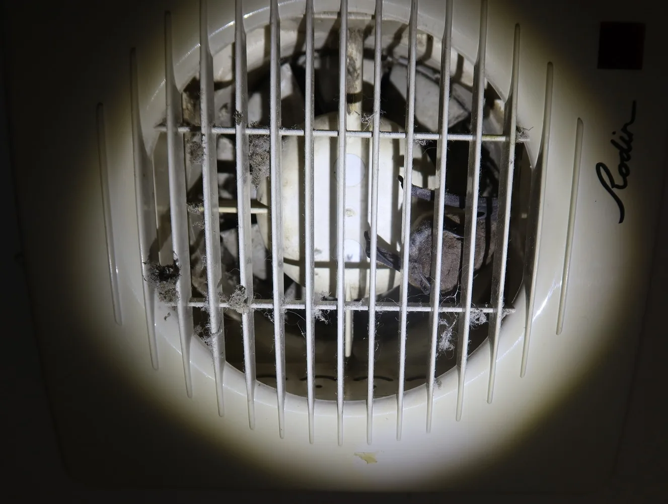 Záchrana netopýra z ventilátoru