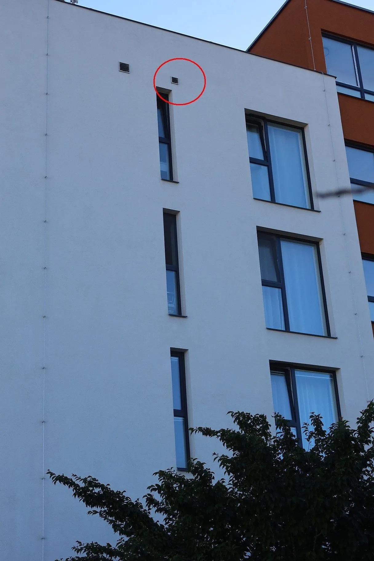 Tudy se dostal pták do vzduchového potrubí
