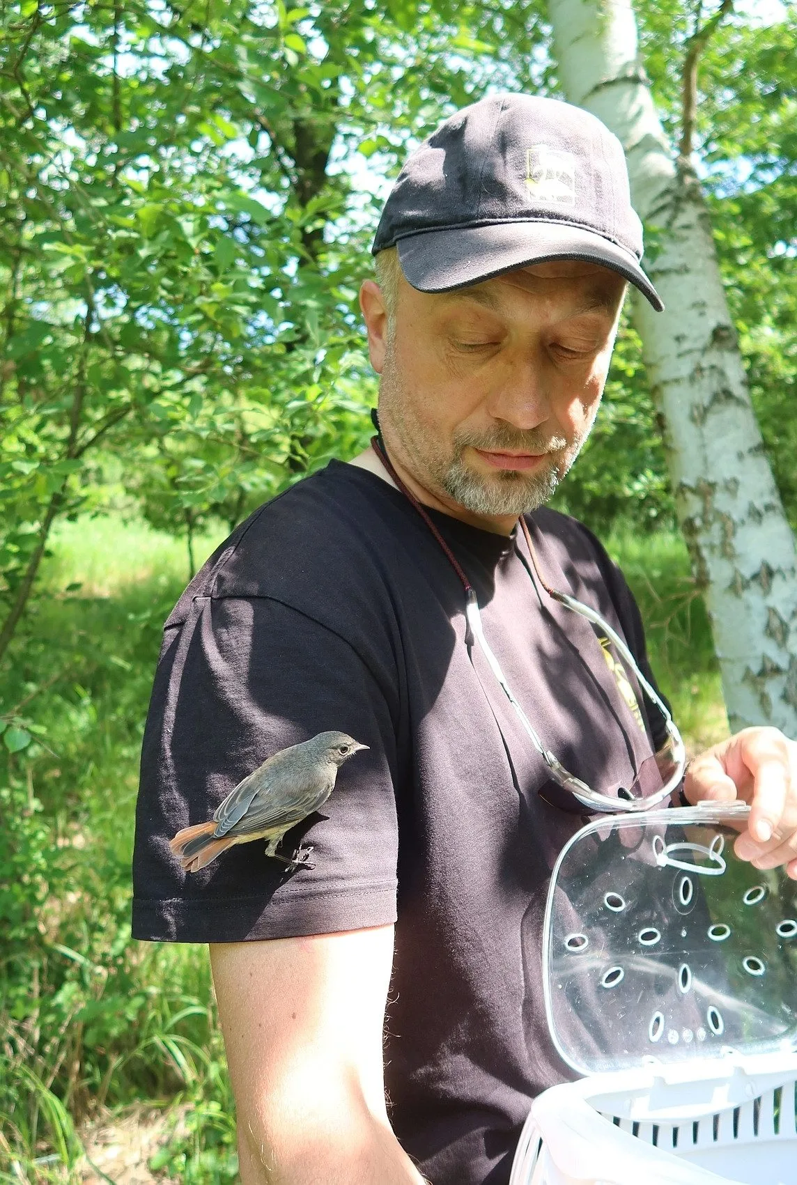Vypouštění rehků, kteří hnízdili v kuchyňské digestoři