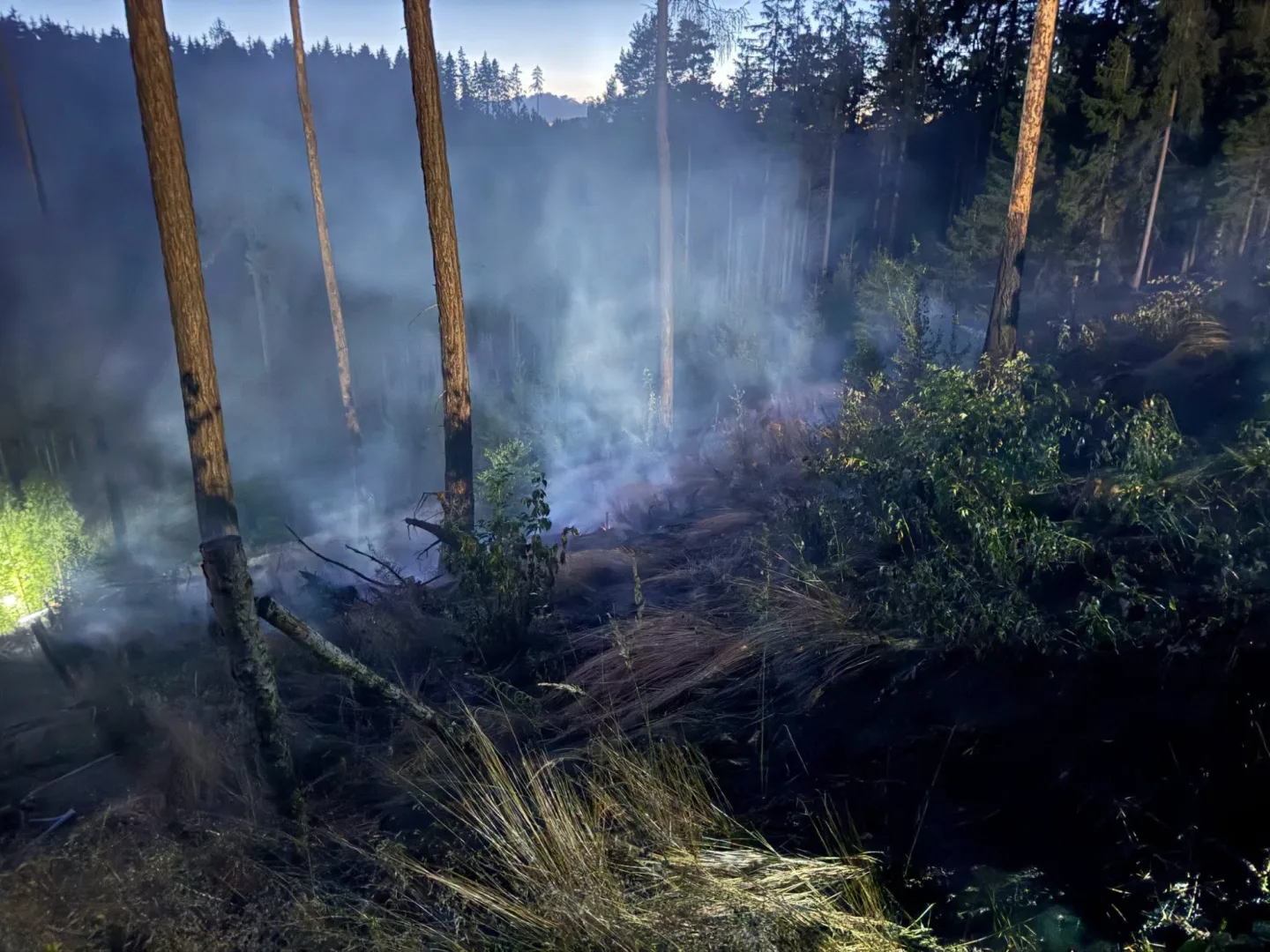 Karlovarští hasiči pomáhali s lesním požárem na Plzeňsku. Oheň zasáhl půl hektaru.