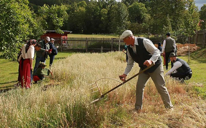 ilustrační foto.