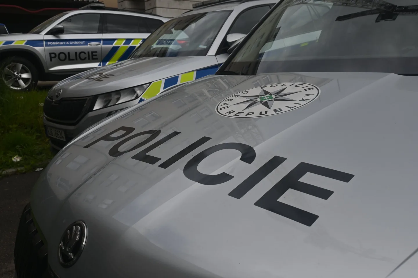 Muže z Karlovarska, který podle policie napadl svou ženu, poslal soud do vazby
