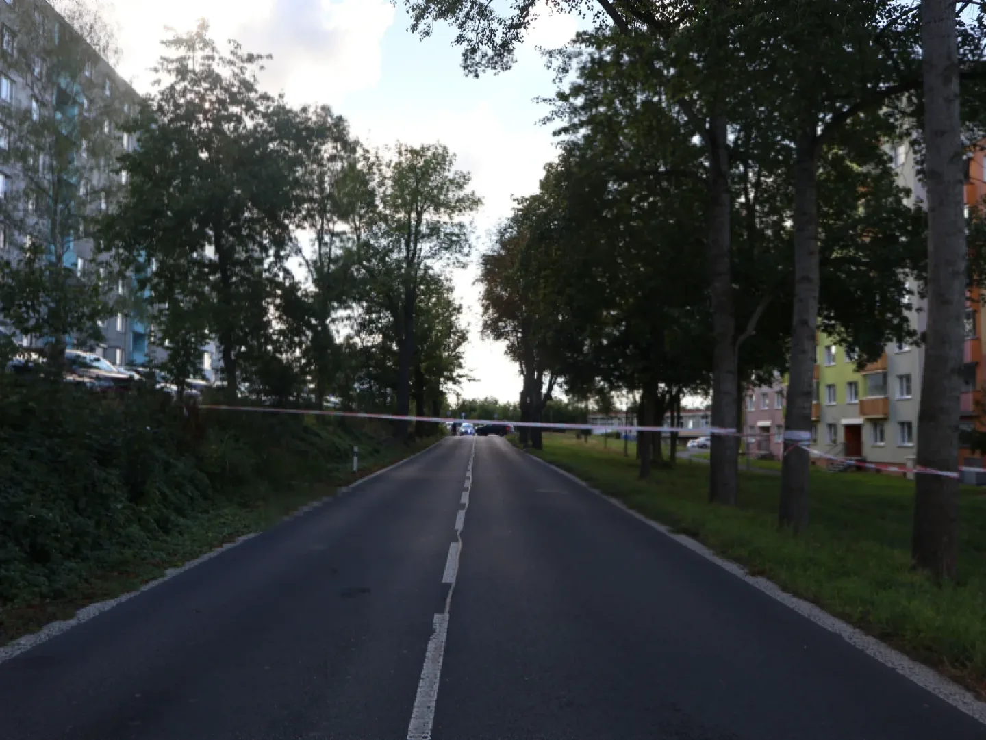 Mladá chodkyně zemřela po střetu s Audi v Karlových Varech