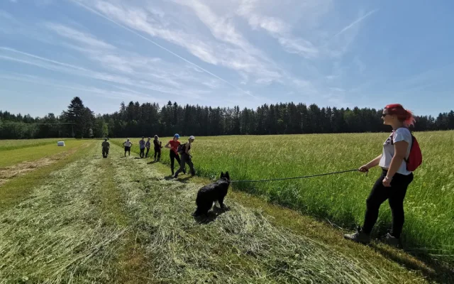 do terénu vyráží i řada dobrovolníků