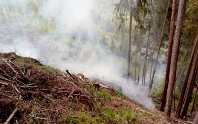 FOTO: Hasiči bojovali s lesním požárem, zásah komplikoval prudký svah