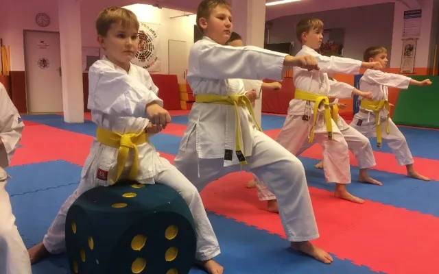Sen vychovat reprezentanta se splnil, říká trenér Karate klubu Tygr Jan Ruth