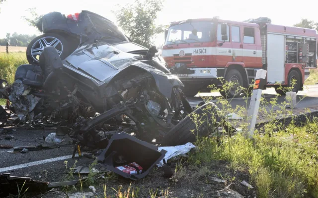 Řidič nezvládl řízení a narazil do stromu, zraněním podlehl