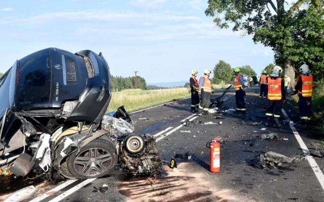 Řidič nezvládl řízení a narazil do stromu, zraněním podlehl