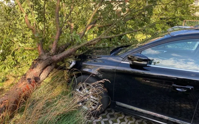 FOTO : Hasiče zaměstnal silný vítr, vyjížděli k desítkám případů