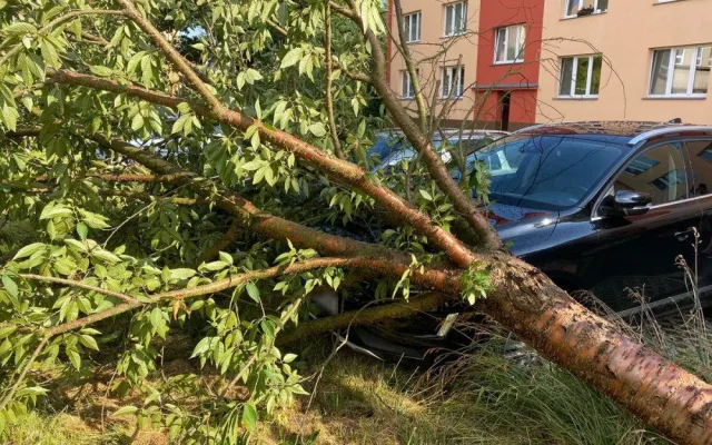FOTO : Hasiče zaměstnal silný vítr, vyjížděli k desítkám případů
