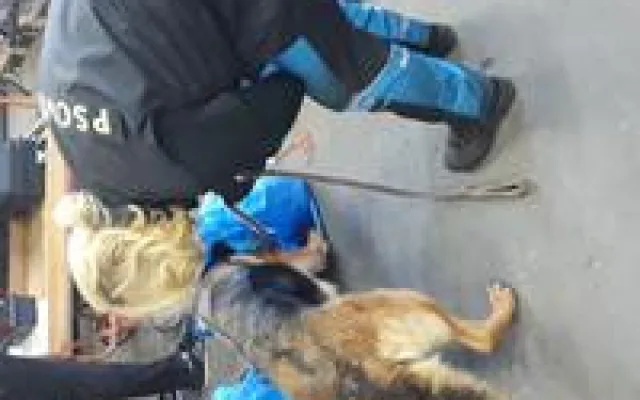 Drogy jsou stále v módě, celníci jich letos v kraji zabavili už téměř za milion korun