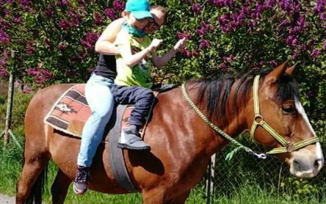 Lukáš z Jihlavy bojuje s mozkovou obrnou. On je má škola života, říká maminka Katka