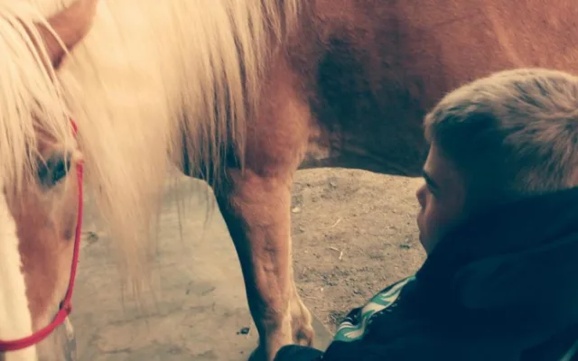Lukáš z Jihlavy bojuje s mozkovou obrnou. On je má škola života, říká maminka Katka
