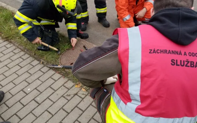 Záchrana koťat uvězněných v kanálu trvala deset hodin