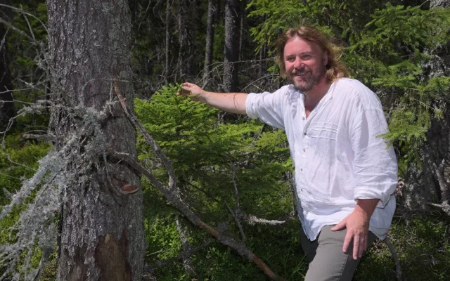 Příroda nejde naplánovat, říká Pavel Hubený, ředitel Národního parku Šumava