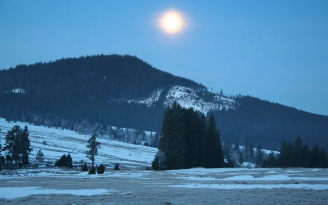 Příroda nejde naplánovat, říká Pavel Hubený, ředitel Národního parku Šumava