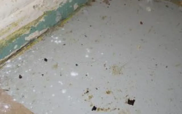 Inspekce uzavřela restauraci v Karlových Varech. Uvnitř našla myší trus a plesnivé zdi