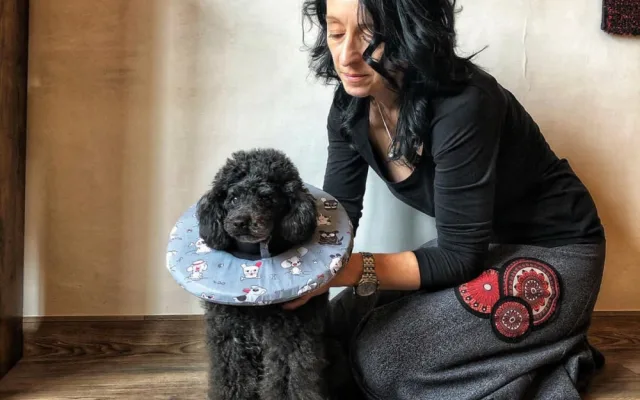 Chtěly usnadnit léčbu svým nemocným pejskům, vytvořily pro ně v době covidu geniální veterinární pomůcku