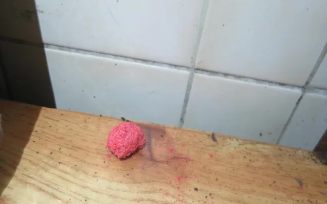 Mezi masem a párky žily myši. Chebské řeznictví má utrum