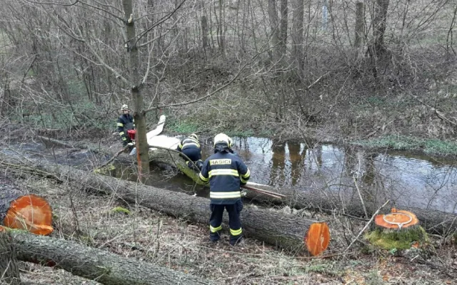 Luxusní BMW skončilo v potoce. Nehoda se obešla bez zranění.