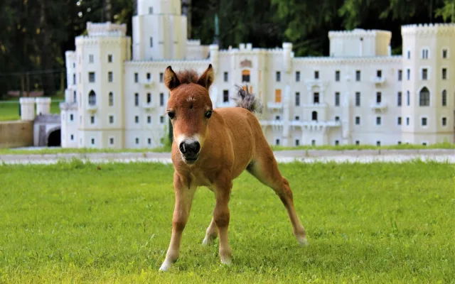 Miniaturpark Boheminium je ideálním tipem na rodinný výlet