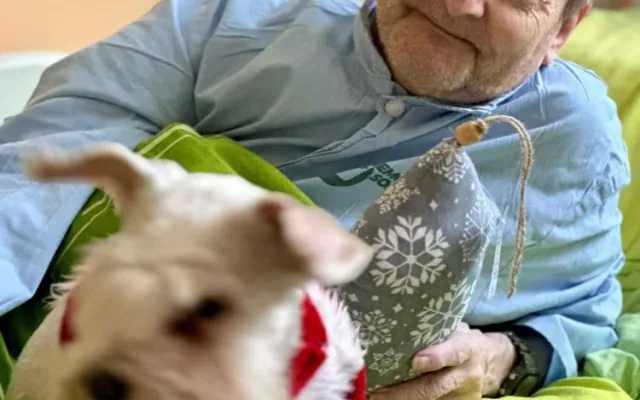 Pacienty sokolovské nemocnice na Štědrý večer dojala psí návštěva