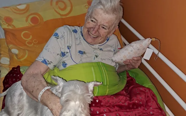 Pacienty sokolovské nemocnice na Štědrý večer dojala psí návštěva