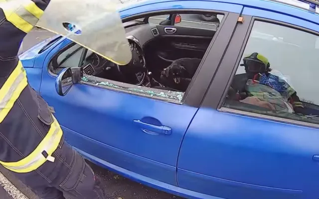 Pejsek zůstal uvězněný uvnitř automobilu, majiteli nešel vůz klíčkem odemknout