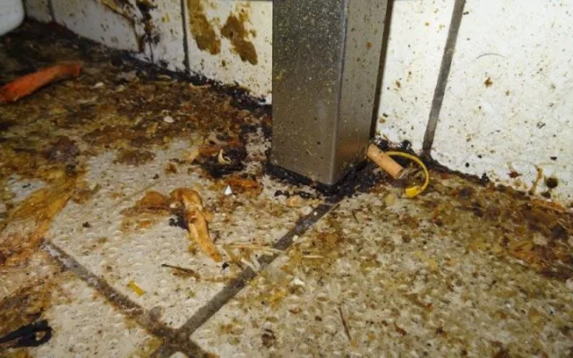 Tady snad nikdy neuklízíte, tepali potravináři majitele vietnamské restaurace v Chebu
