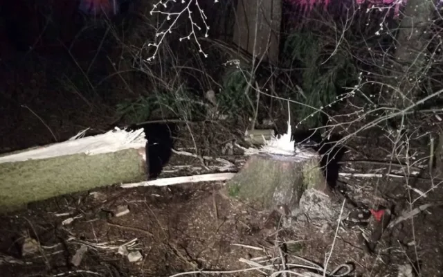 Hasiči odstraňovali strom, který hrozil pádem na dům. Ve stejný okamžik začalo v tom samém domě hořet