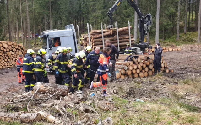 Dělníka v lese zavalila padající kláda, muž utrpěl těžká zranění