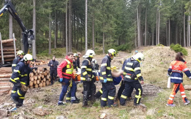 Dělníka v lese zavalila padající kláda, muž utrpěl těžká zranění
