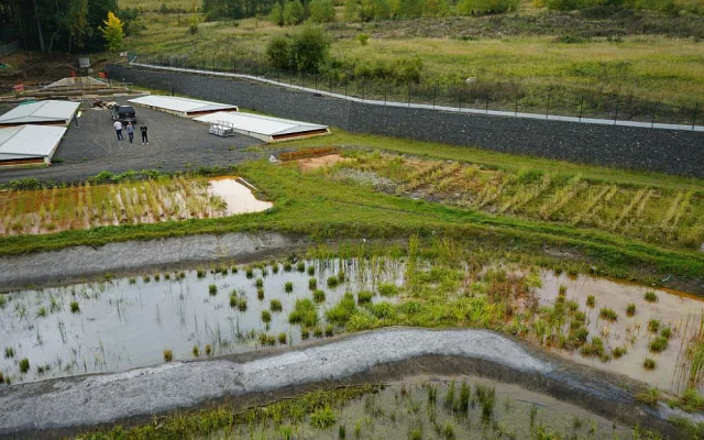 Wetland v Hájku na Karlovarsku