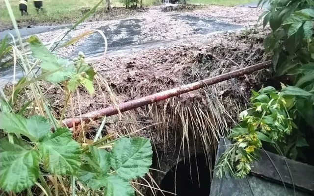 Očekávaná bouře na západ Čech naštěstí neudeřila plnou silou. Meteorologové vysvětlují, proč se výstraha nenaplnila