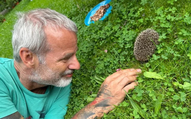 Ježkům se u nás na zahradě líbí a nám se líbí jejich společnost