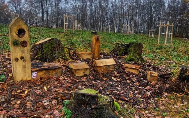 Cenu Karlovarské kraje za ochranu přírody získal Loket za obnovu třešňového sadu