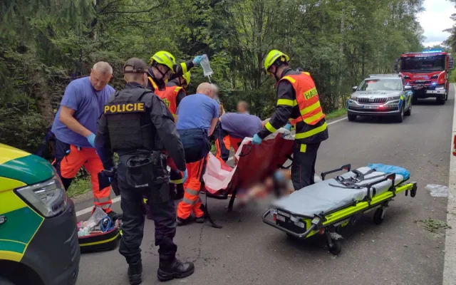 Auto vyletělo ze silnice a poškodilo vozí hnízdo. Vosy pak napadaly záchranáře, kteří pomáhali těžce raněným