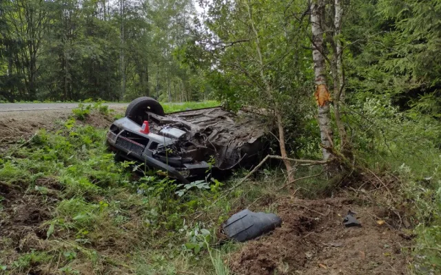 Auto vyletělo ze silnice a poškodilo vozí hnízdo. Vosy pak napadaly záchranáře, kteří pomáhali těžce raněným