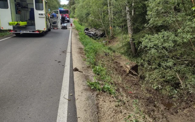 Auto vyletělo ze silnice a poškodilo vozí hnízdo. Vosy pak napadaly záchranáře, kteří pomáhali těžce raněným
