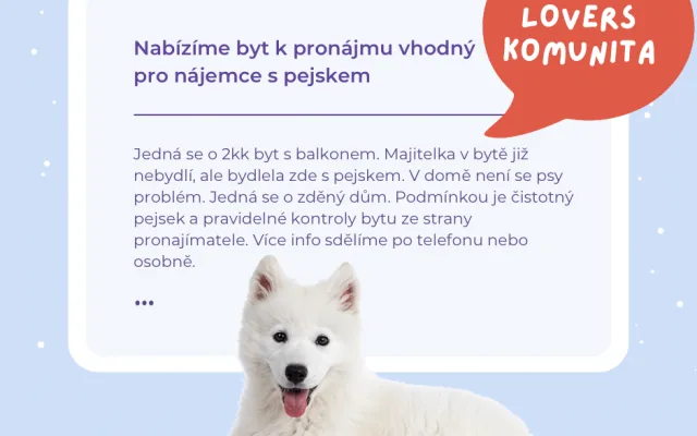 Jak sehnat pronájem bytu se psem: 5 užitečných tipů