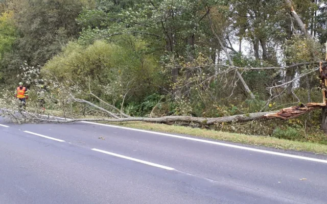 Hasiče po vichřici zaměstnávalo množství popadaných stromů. Do jednoho narazil i osobní vlak