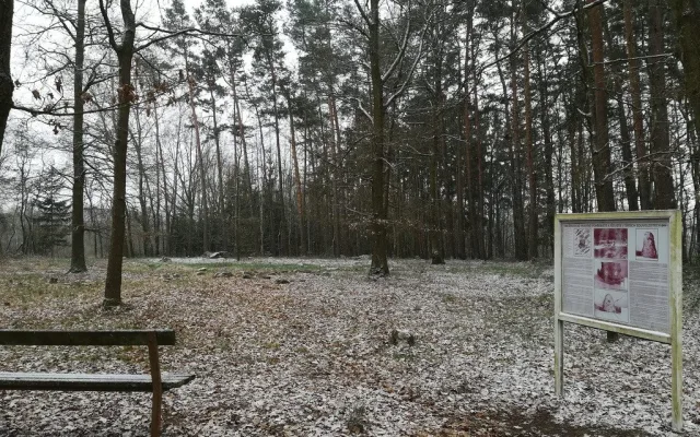 Kraj podpoří úpravy mohylového pohřebiště z doby bronzové nedaleko Františkových Lázní