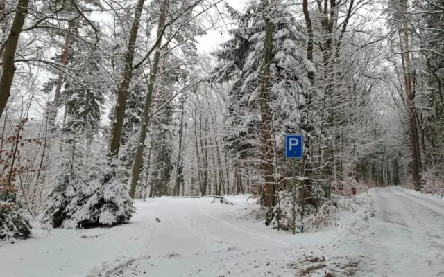 Prázdné parkoviště a auta rozesetá po lese, strážníci opakovaně upozorňují na nešvar řidičů