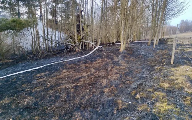 Hasiči ráno likvidovali požár chaty, hořely i stromy a suchá tráva na velké ploše přilehlé louky
